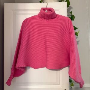 Pink Zara Turtleneck Sweater